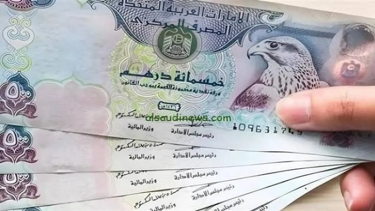 سعر الدرهم الإماراتي مقابل الجنيه المصري يتغير اليوم في السوق